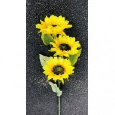 Wholesale Sunflowers- Small