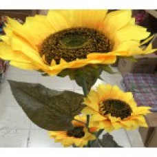 Wholesale Sunflowers- Large